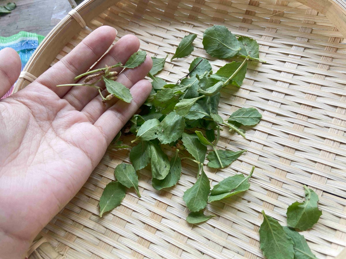 成龍社區.成龍濕地.捌貳 (47).jpg 成龍社區.成龍濕地.捌貳 (47).jpg