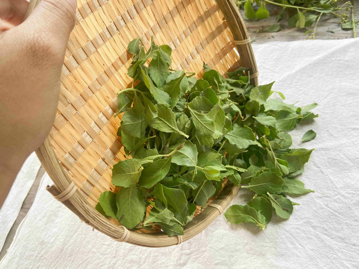 成龍社區.成龍濕地.捌貳 (50).jpg 成龍社區.成龍濕地.捌貳 (50).jpg