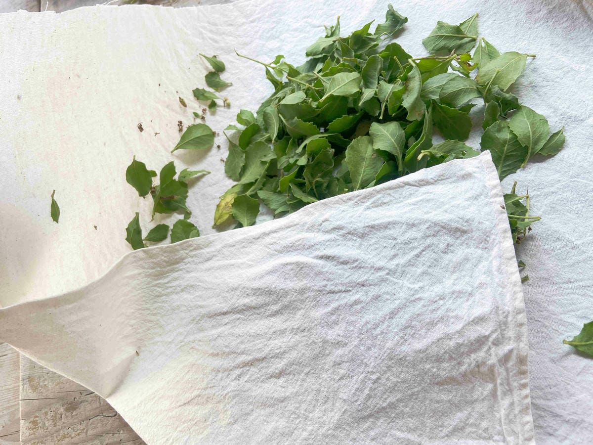 成龍社區.成龍濕地.捌貳 (51).jpg 成龍社區.成龍濕地.捌貳 (51).jpg