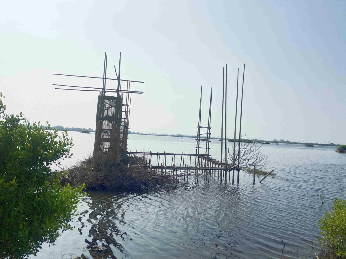 成龍社區.成龍濕地.捌貳 (43).jpg 成龍社區.成龍濕地.捌貳 (43).jpg