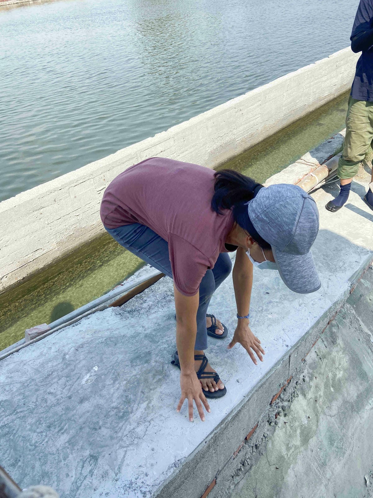 成龍社區.成龍濕地.捌貳 (4).jpg 成龍社區.成龍濕地.捌貳 (4).jpg