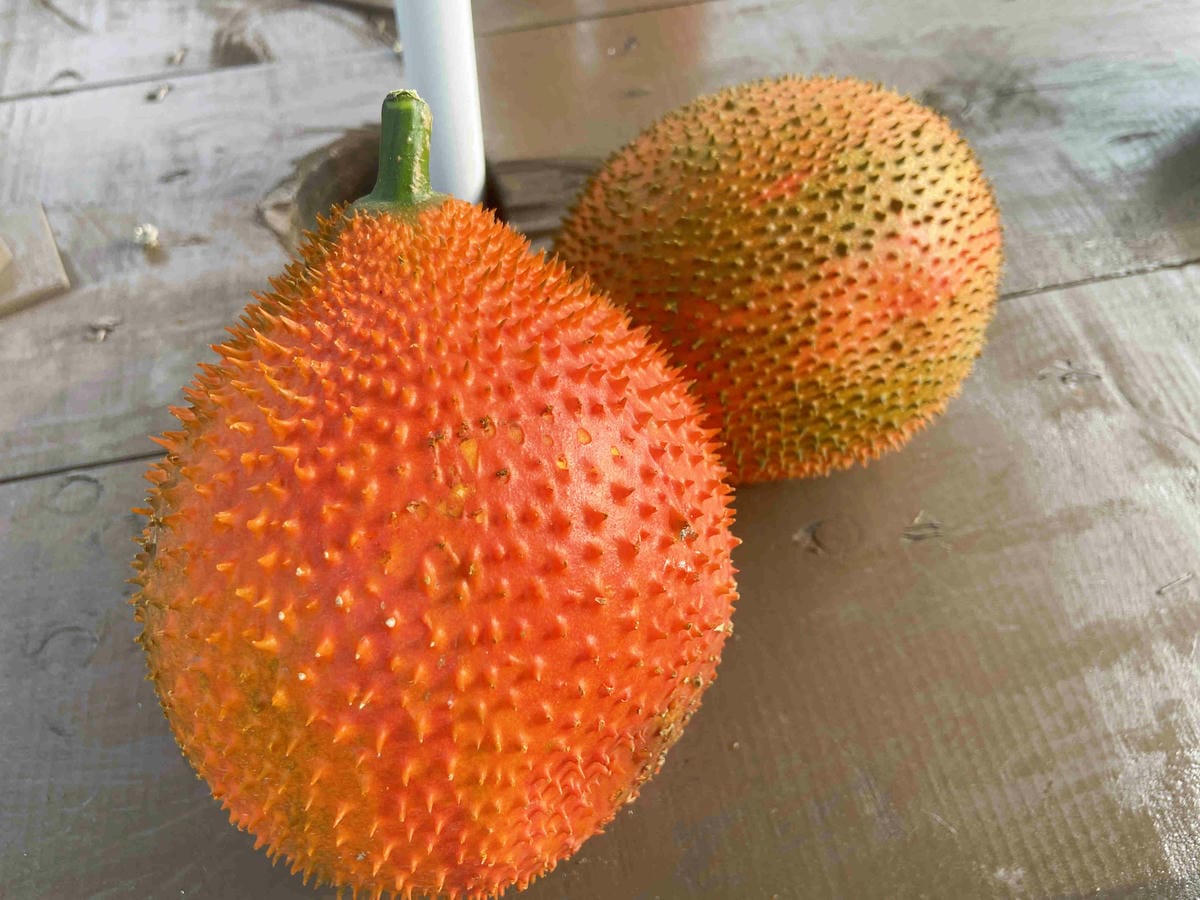 天主堂.饒平村樹仔腳 (92).jpg 天主堂.饒平村樹仔腳 (92).jpg