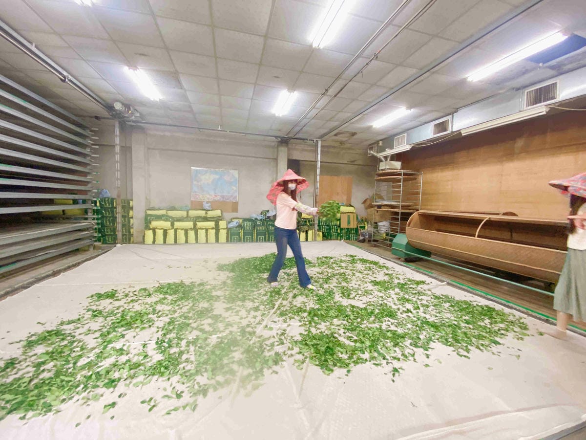 雲林阿茗師 (120).jpg 雲林阿茗師 (120).jpg