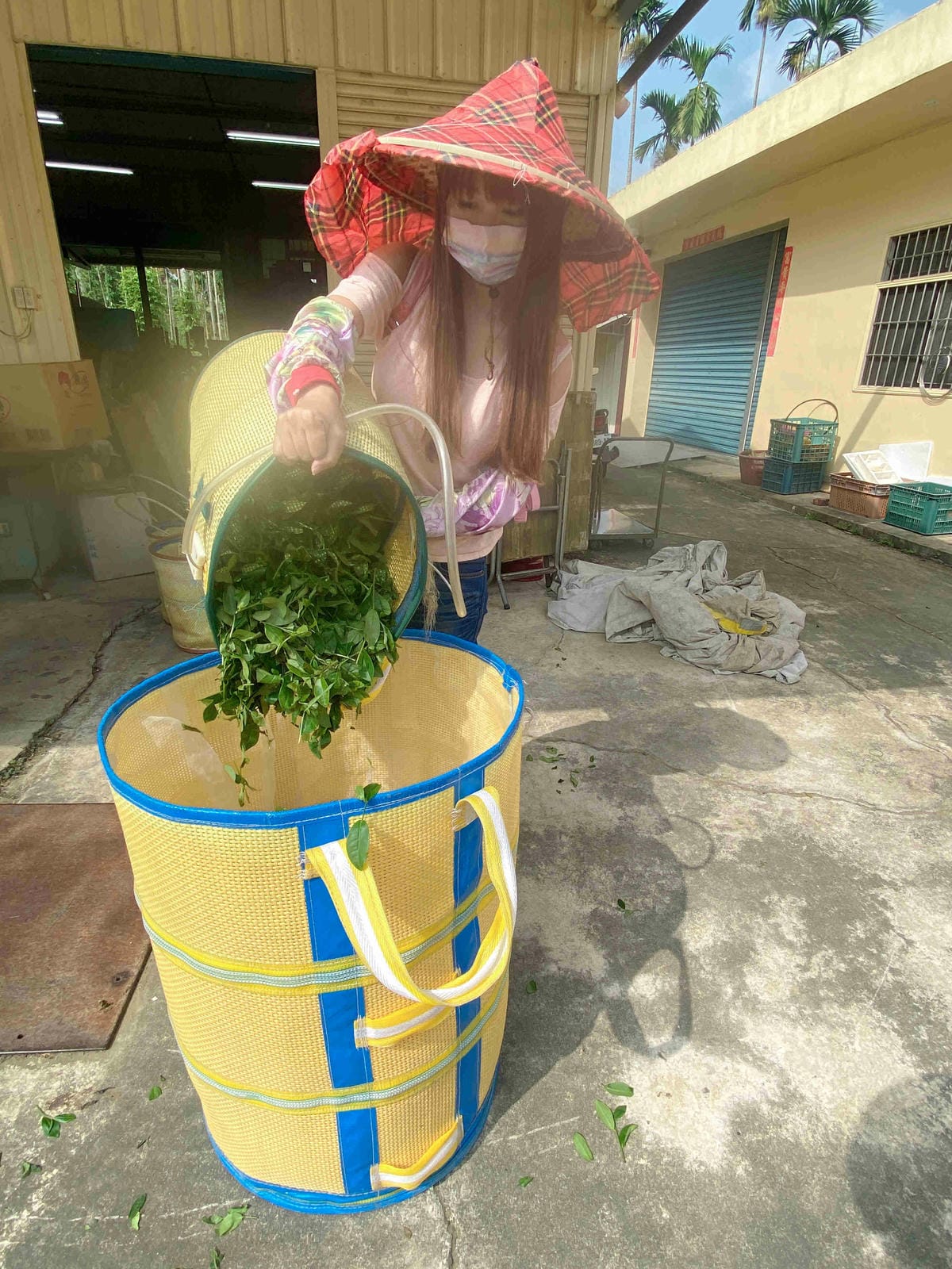 雲林阿茗師 (115).jpg 雲林阿茗師 (115).jpg