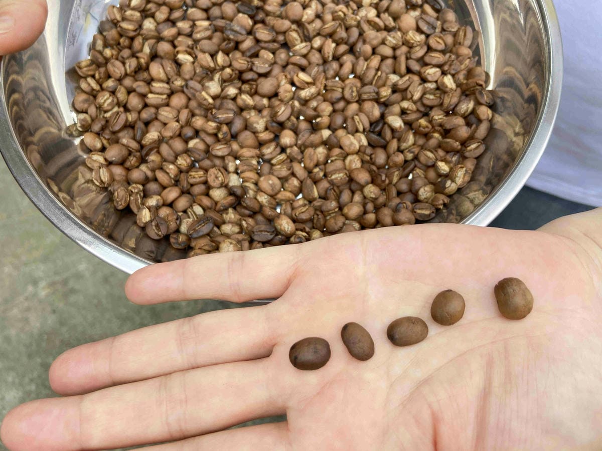 雲林阿茗師 (186).jpg 雲林阿茗師 (186).jpg