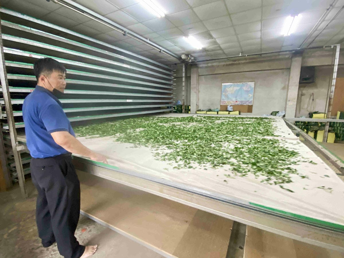 雲林阿茗師 (122).jpg 雲林阿茗師 (122).jpg