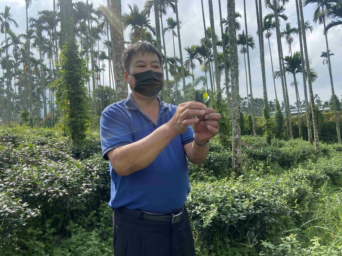 雲林阿茗師 (108).jpg 雲林阿茗師 (108).jpg