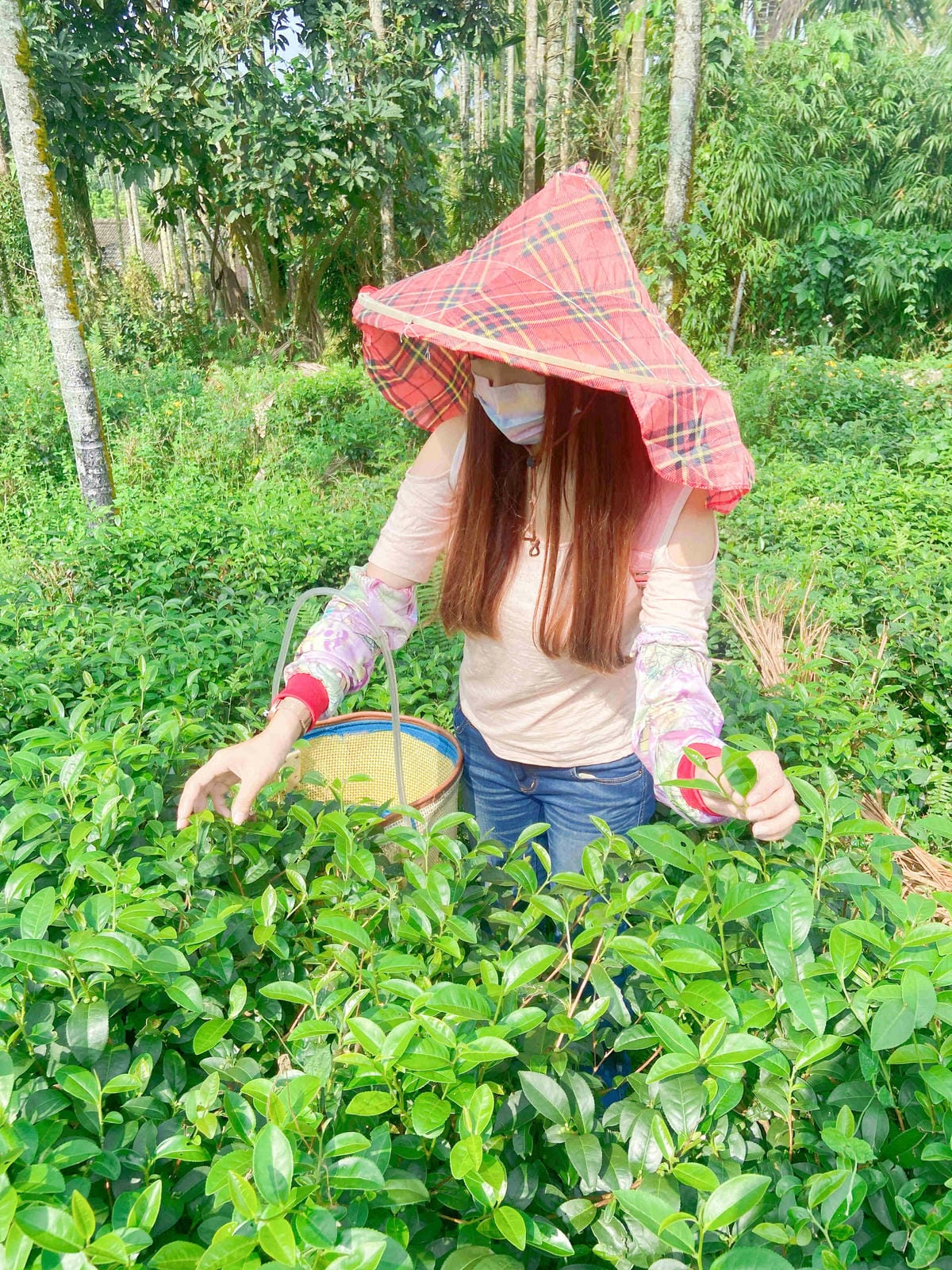 雲林阿茗師 (113).jpg 雲林阿茗師 (113).jpg