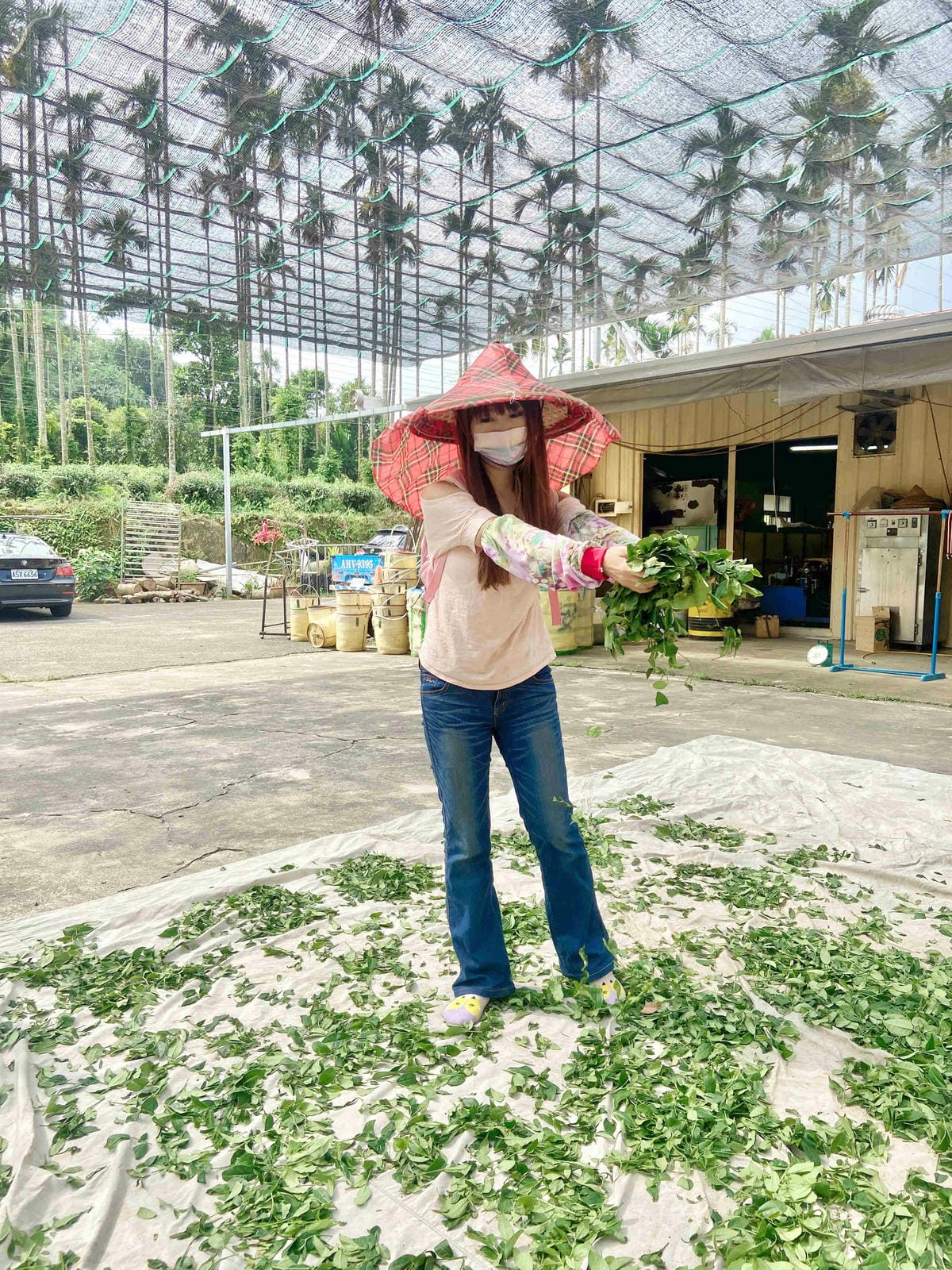 雲林阿茗師 (141).jpg 雲林阿茗師 (141).jpg