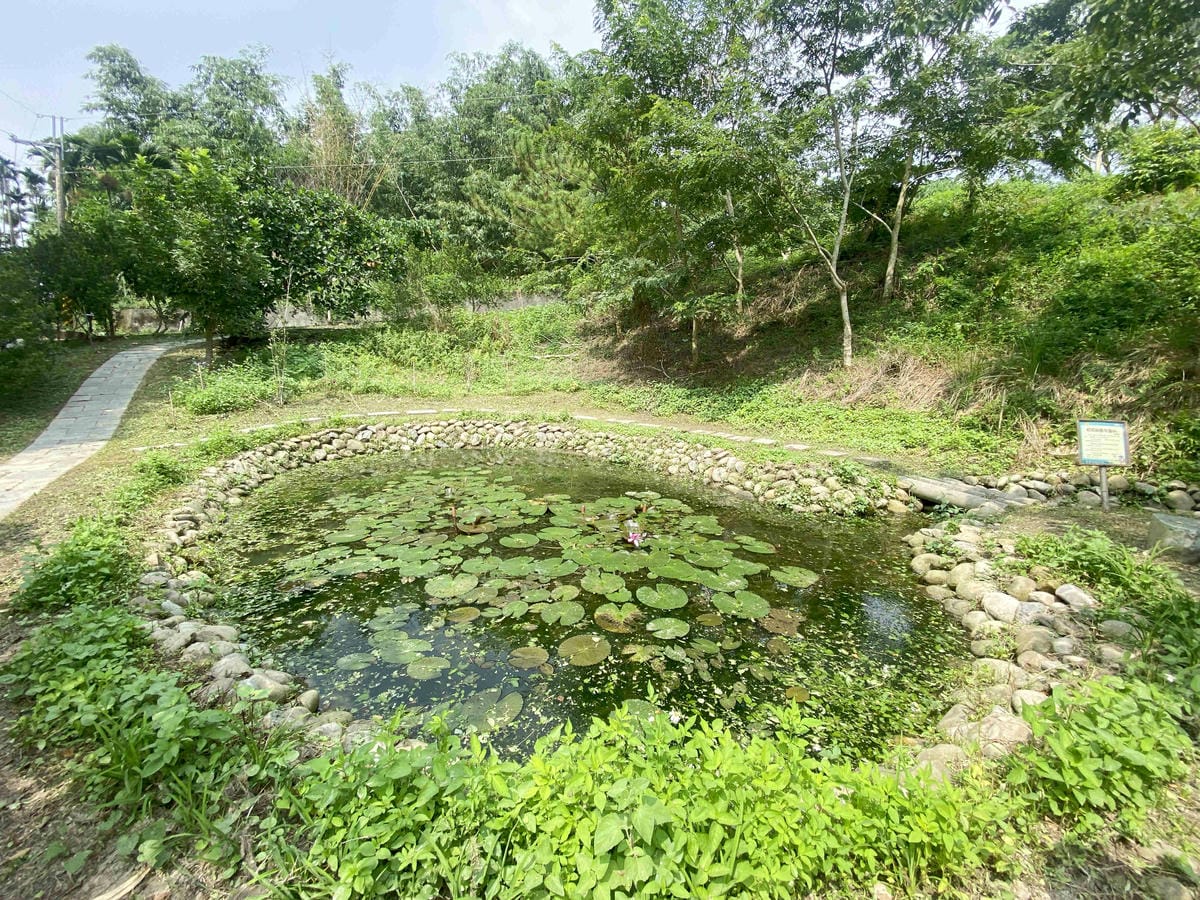 雲林阿茗師 (149).jpg 雲林阿茗師 (149).jpg