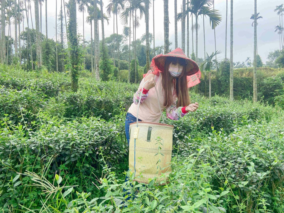 雲林阿茗師 (111).jpg 雲林阿茗師 (111).jpg