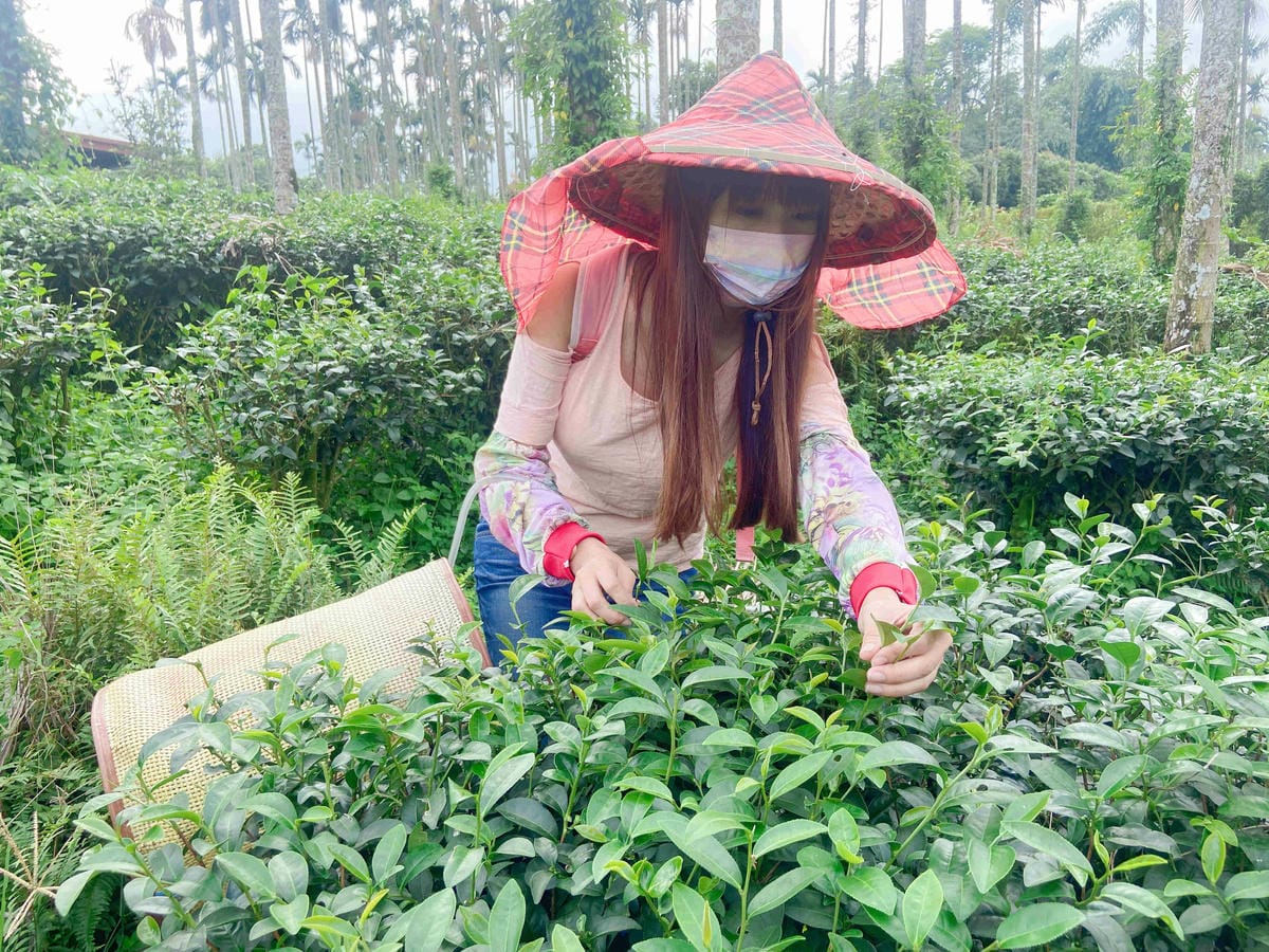 雲林阿茗師 (110).jpg 雲林阿茗師 (110).jpg