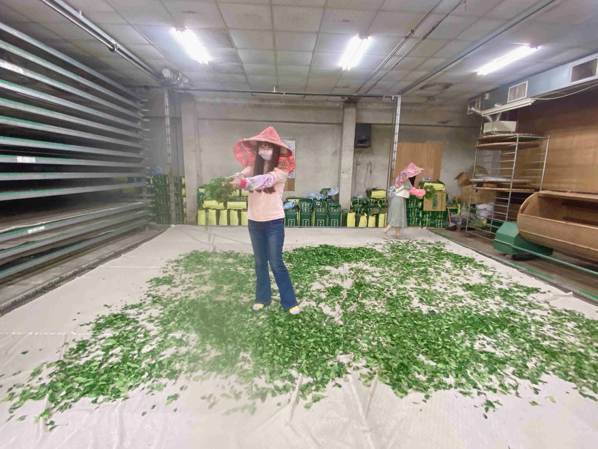 雲林阿茗師 (121).jpg 雲林阿茗師 (121).jpg