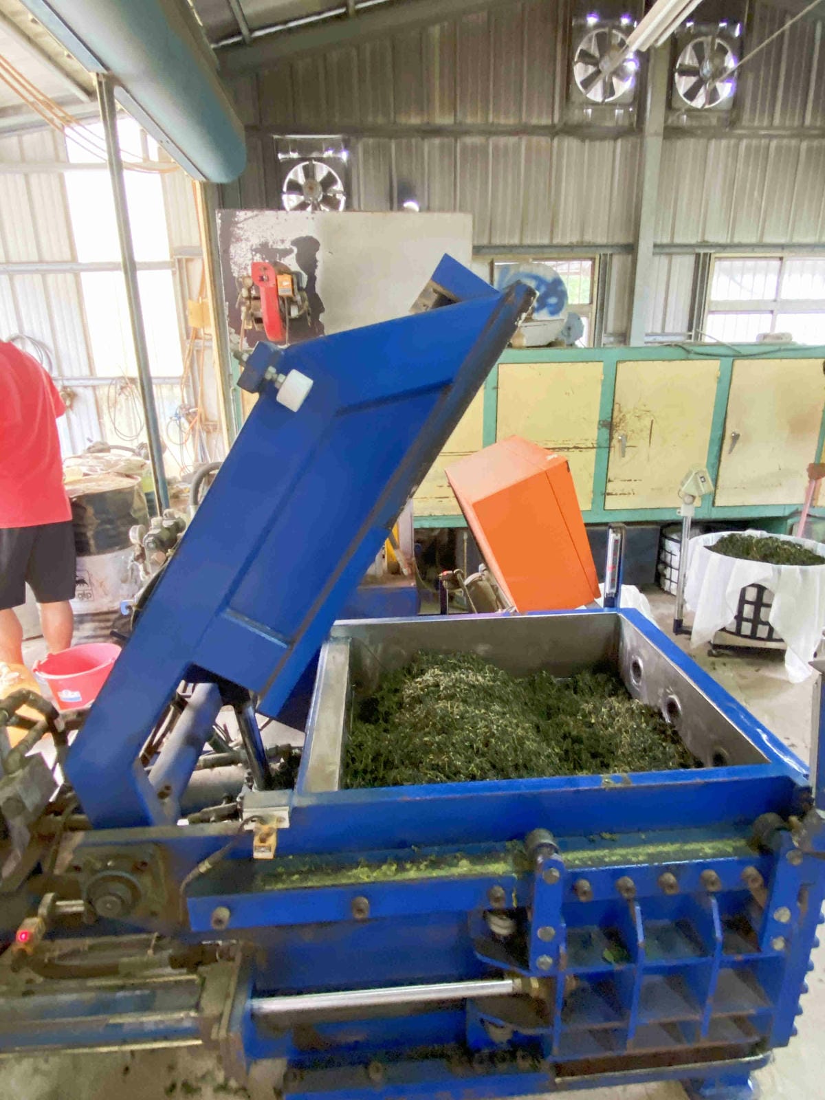 雲林阿茗師 (129).jpg 雲林阿茗師 (129).jpg