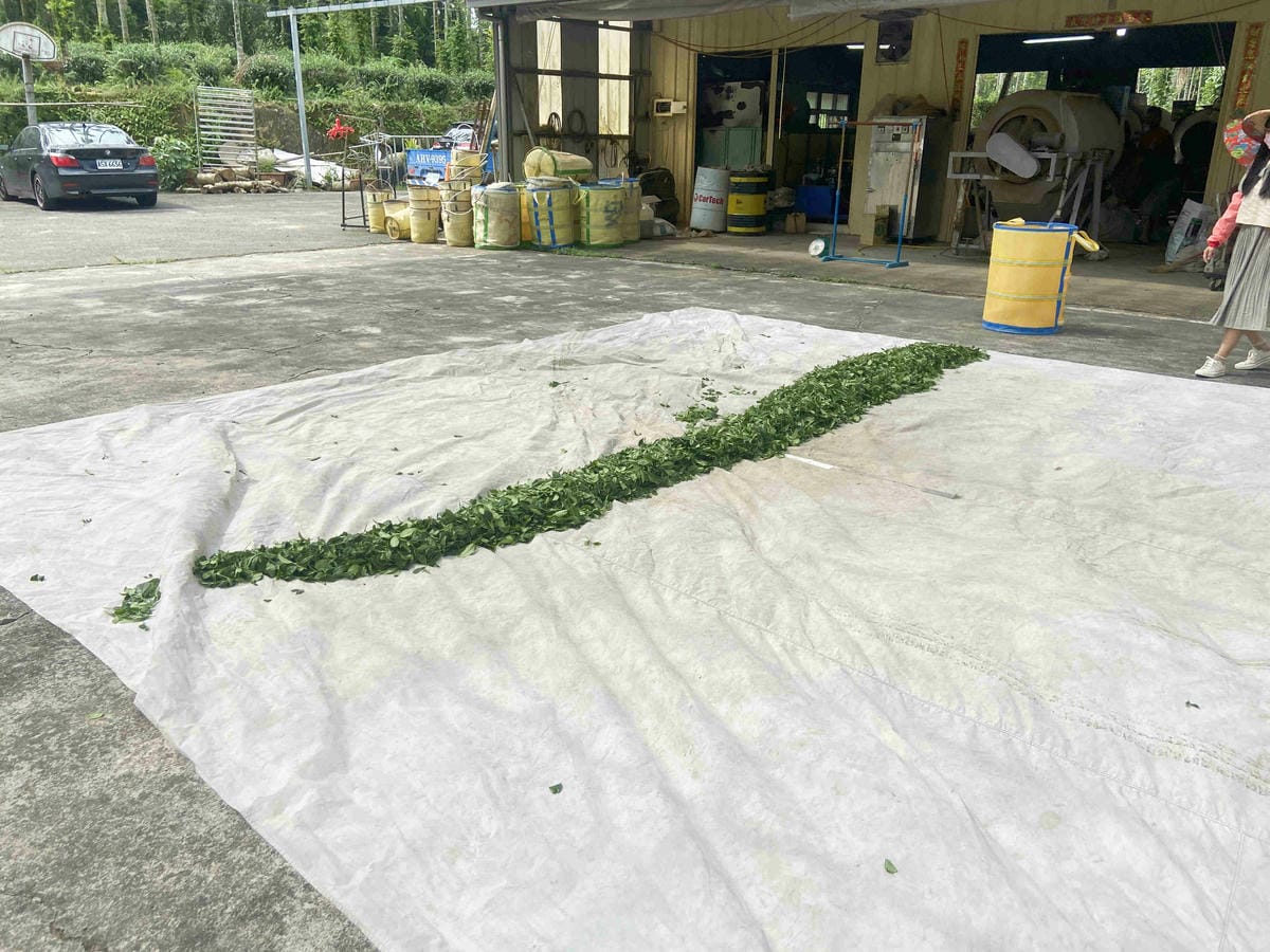 雲林阿茗師 (118).jpg 雲林阿茗師 (118).jpg