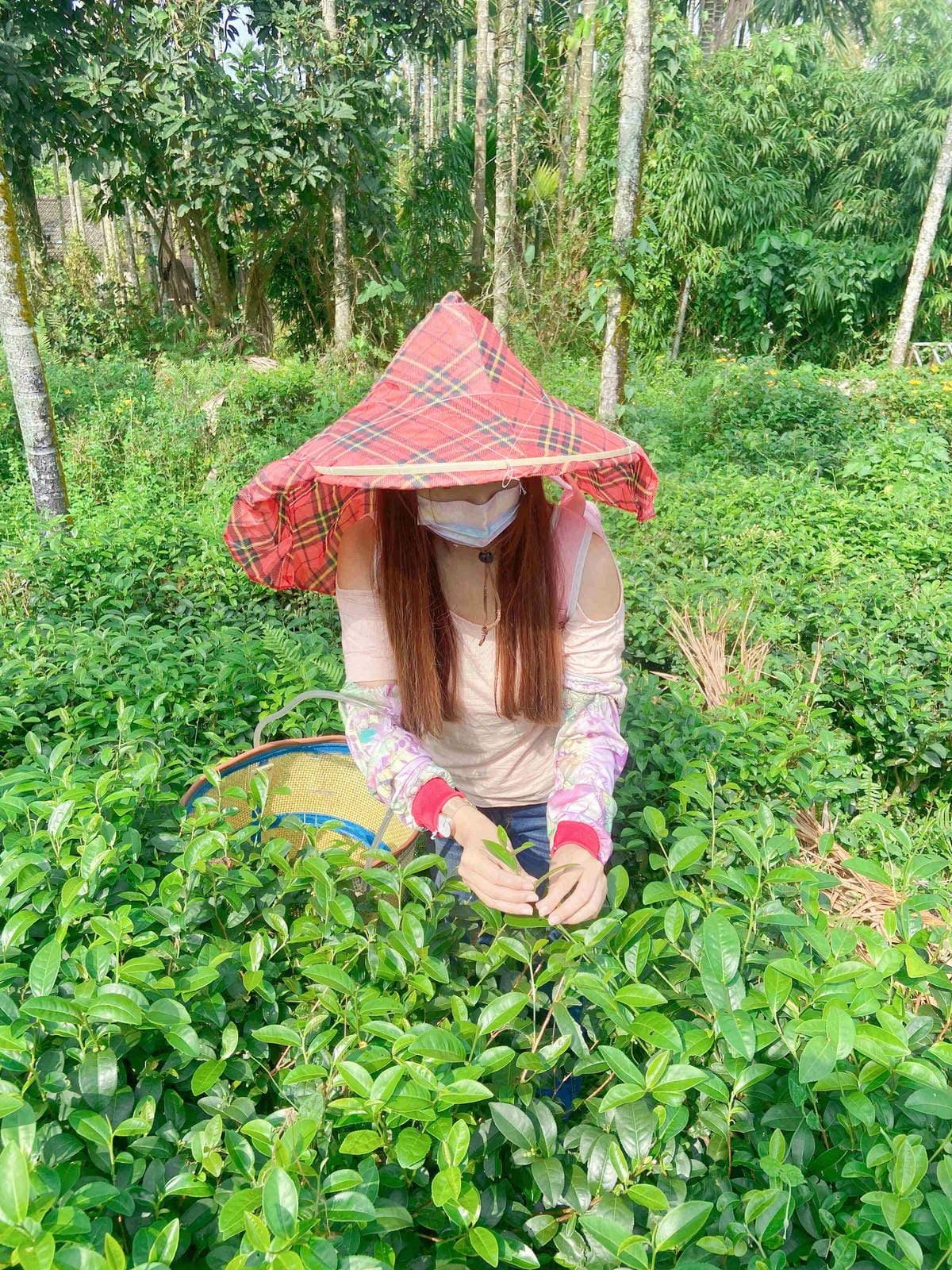 雲林阿茗師 (112).jpg 雲林阿茗師 (112).jpg