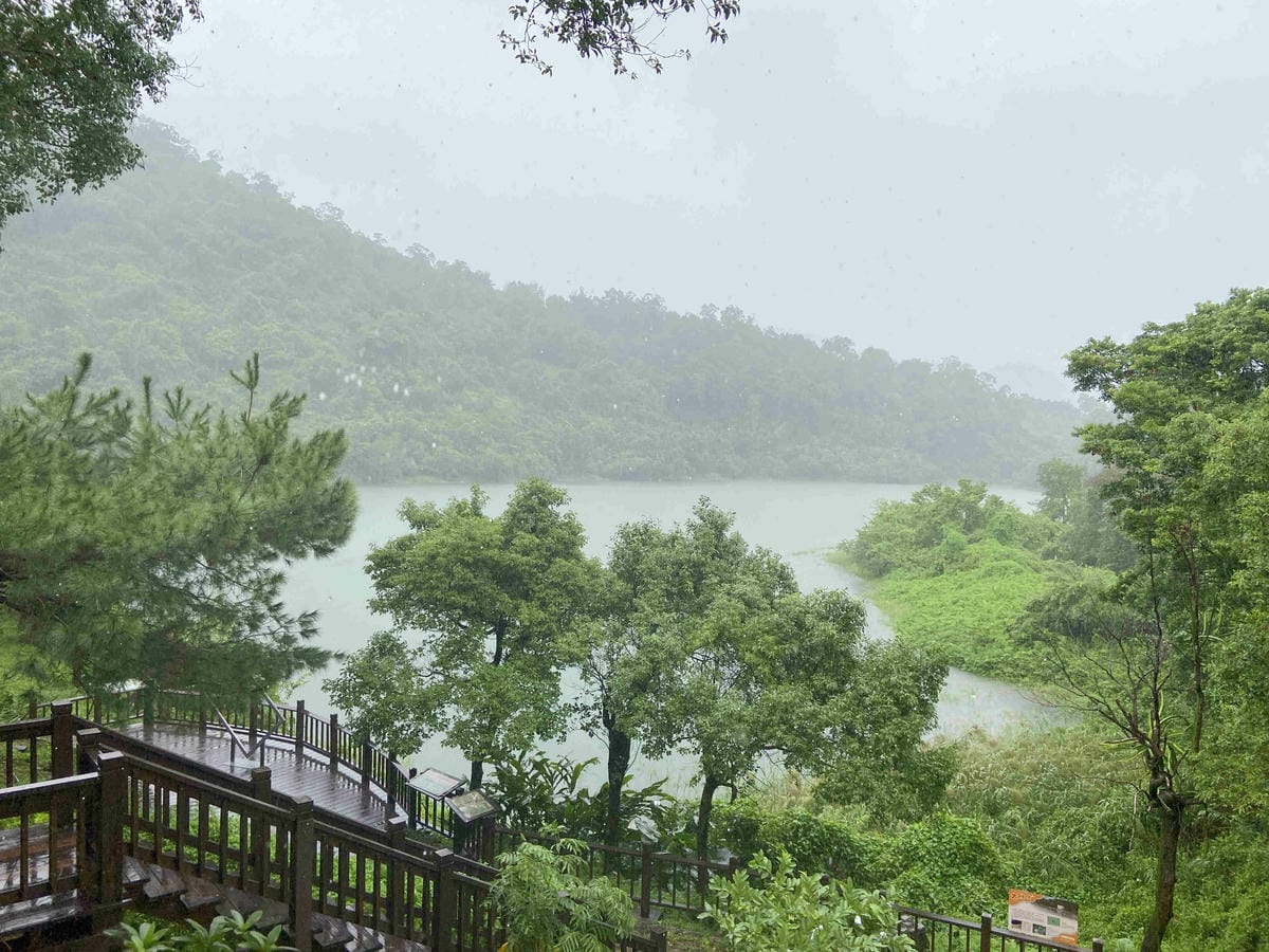 勝洋農場.結頭份社區.鐵牛力阿卡 (131).jpg 勝洋農場.結頭份社區.鐵牛力阿卡 (131).jpg