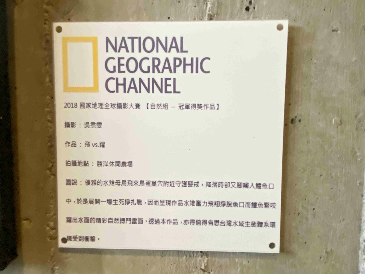 勝洋農場.結頭份社區.鐵牛力阿卡 (67).jpg 勝洋農場.結頭份社區.鐵牛力阿卡 (67).jpg