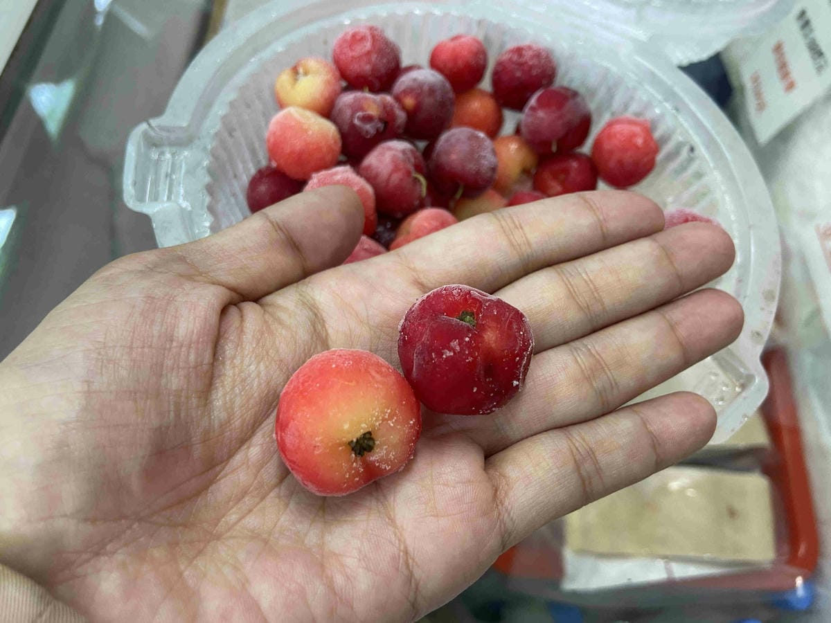 勝洋農場.結頭份社區.鐵牛力阿卡 (121).jpg 勝洋農場.結頭份社區.鐵牛力阿卡 (121).jpg