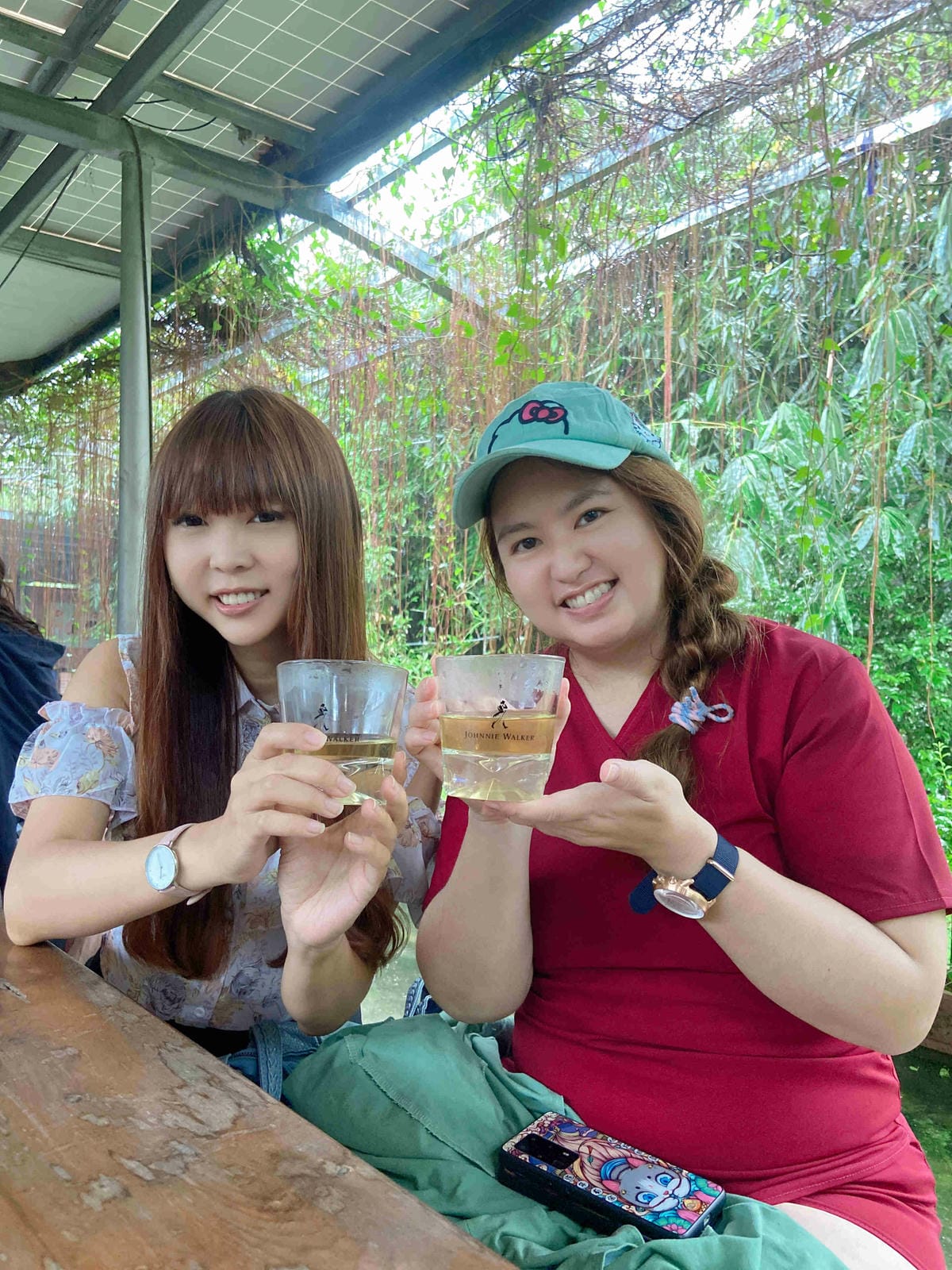 勝洋農場.結頭份社區.鐵牛力阿卡 (14).jpg 勝洋農場.結頭份社區.鐵牛力阿卡 (14).jpg