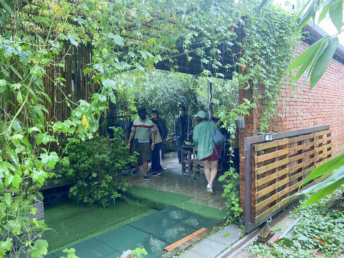 勝洋農場.結頭份社區.鐵牛力阿卡 (7).jpg 勝洋農場.結頭份社區.鐵牛力阿卡 (7).jpg