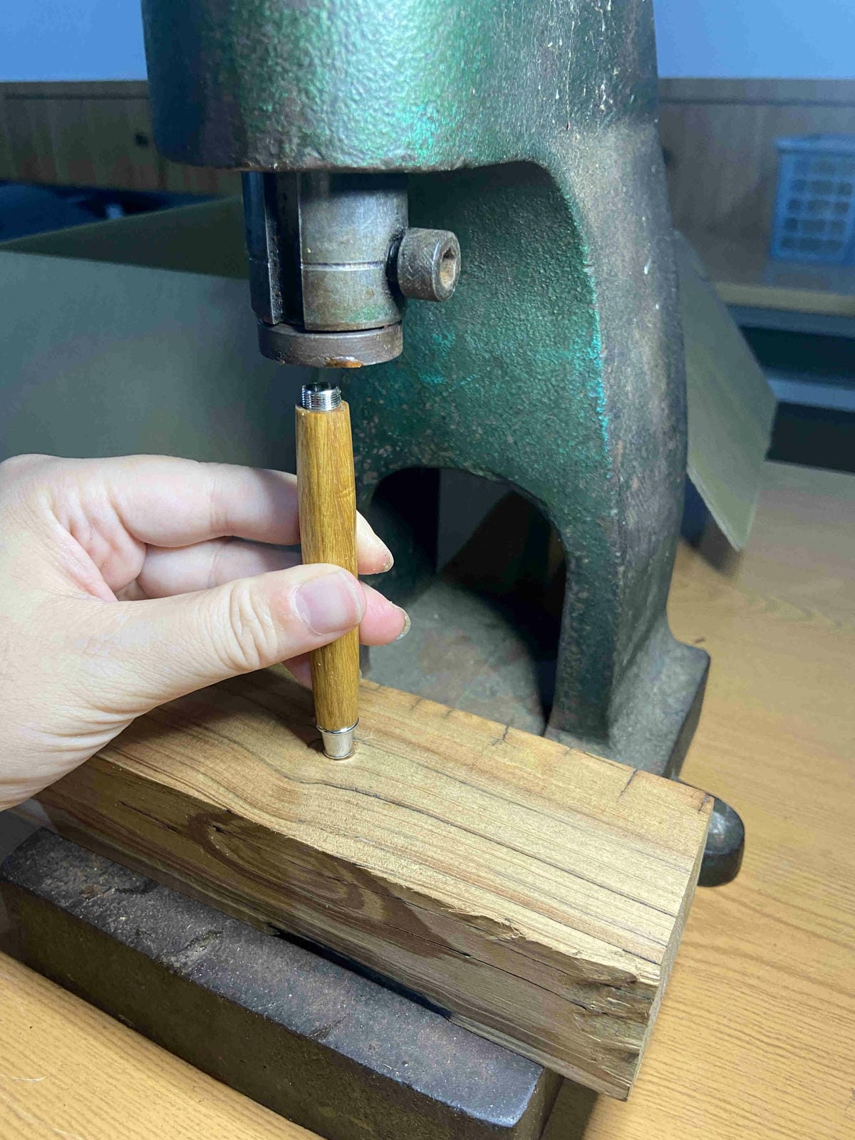 勝洋農場.結頭份社區.鐵牛力阿卡 (93).jpg 勝洋農場.結頭份社區.鐵牛力阿卡 (93).jpg