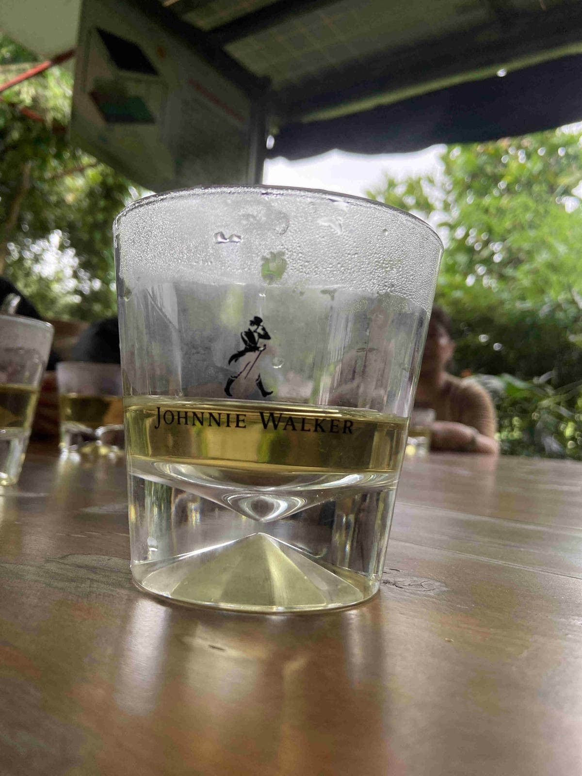 勝洋農場.結頭份社區.鐵牛力阿卡 (13).jpg 勝洋農場.結頭份社區.鐵牛力阿卡 (13).jpg