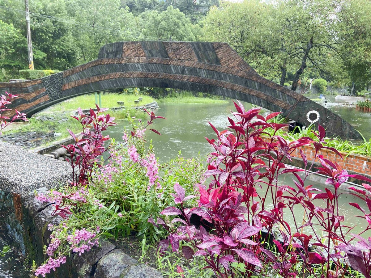 勝洋農場.結頭份社區.鐵牛力阿卡 (113).jpg 勝洋農場.結頭份社區.鐵牛力阿卡 (113).jpg