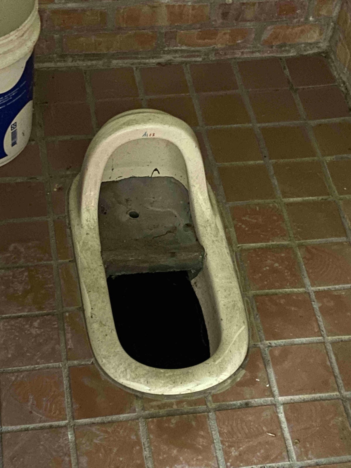 勝洋農場.結頭份社區.鐵牛力阿卡 (53).jpg 勝洋農場.結頭份社區.鐵牛力阿卡 (53).jpg