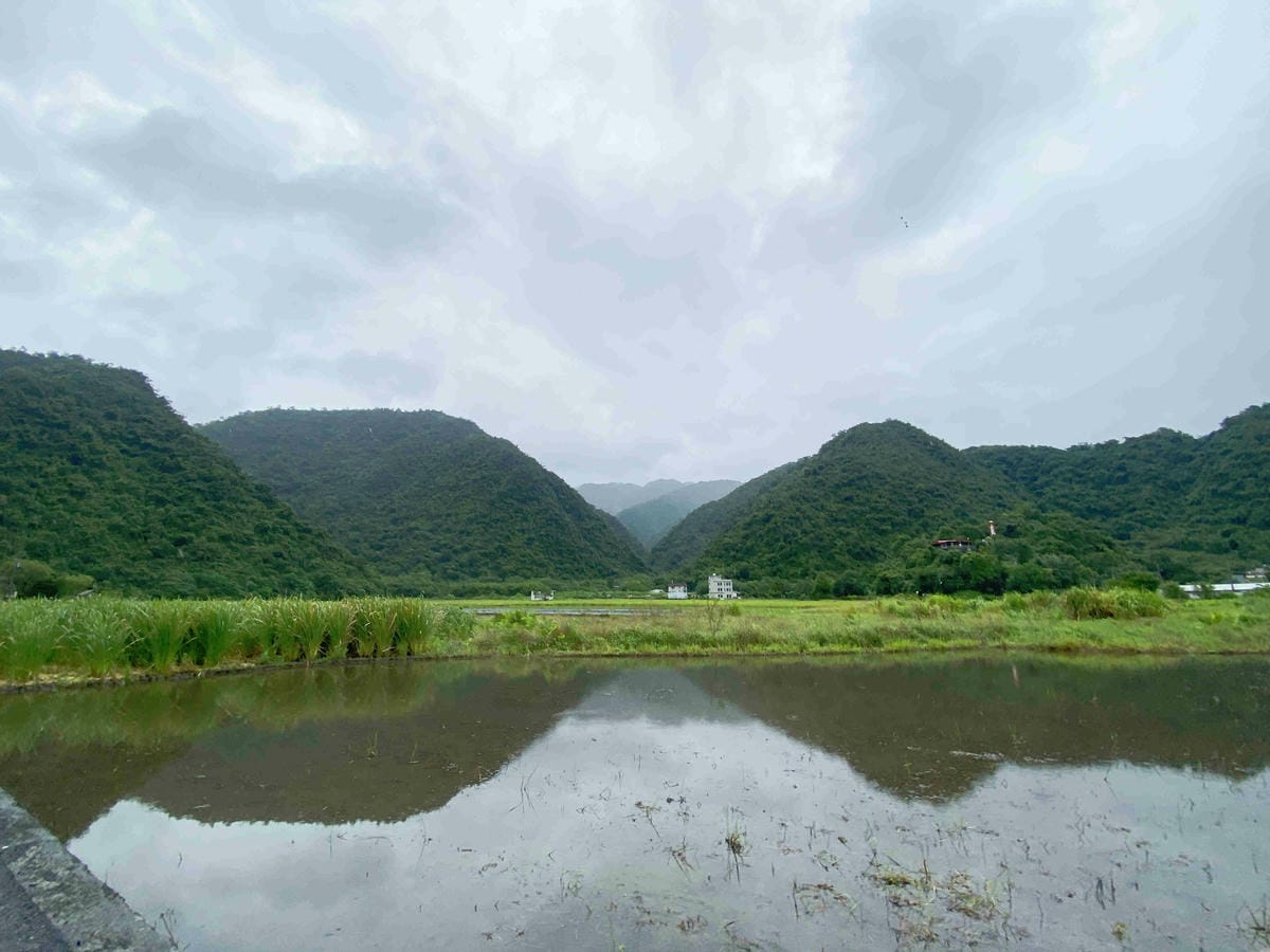 勝洋農場.結頭份社區.鐵牛力阿卡 (125).jpg 勝洋農場.結頭份社區.鐵牛力阿卡 (125).jpg