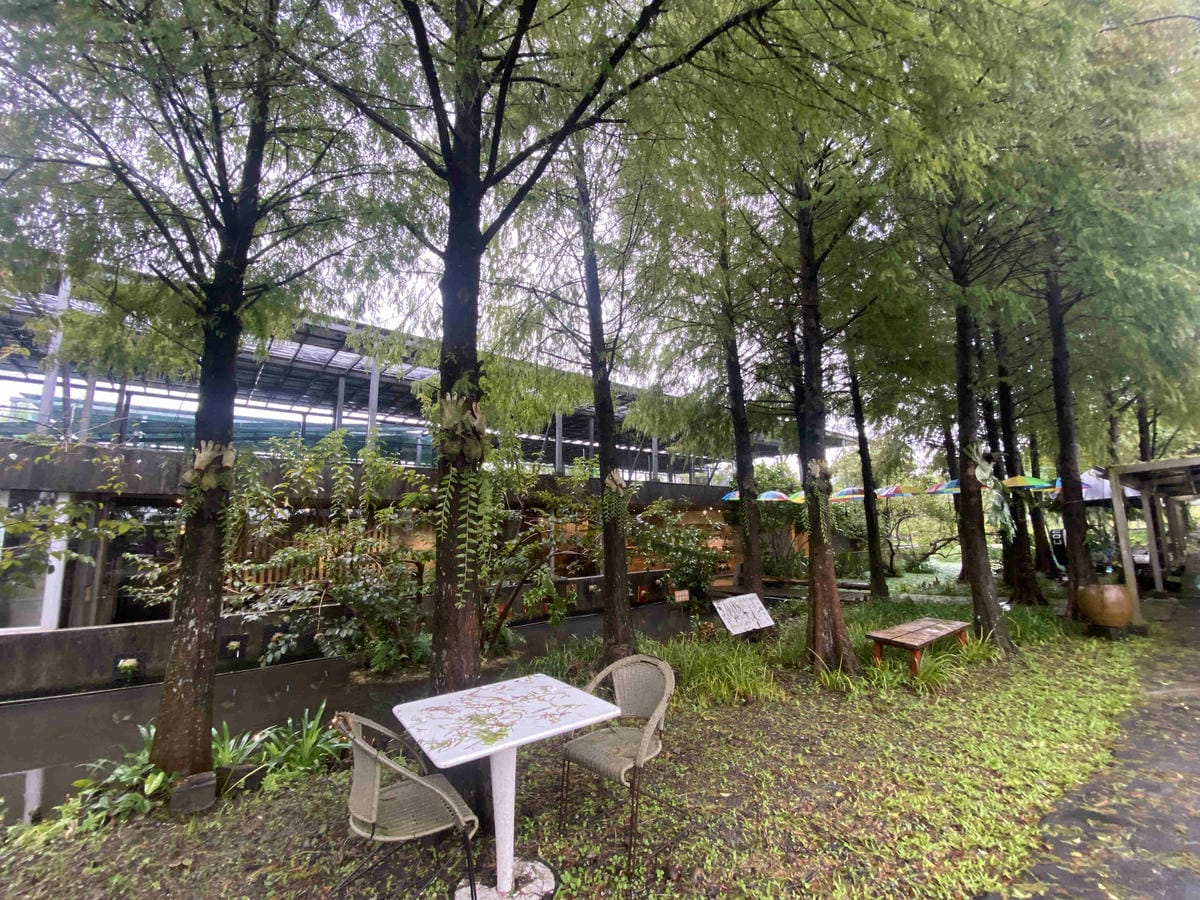 勝洋農場.結頭份社區.鐵牛力阿卡 (102).jpg 勝洋農場.結頭份社區.鐵牛力阿卡 (102).jpg