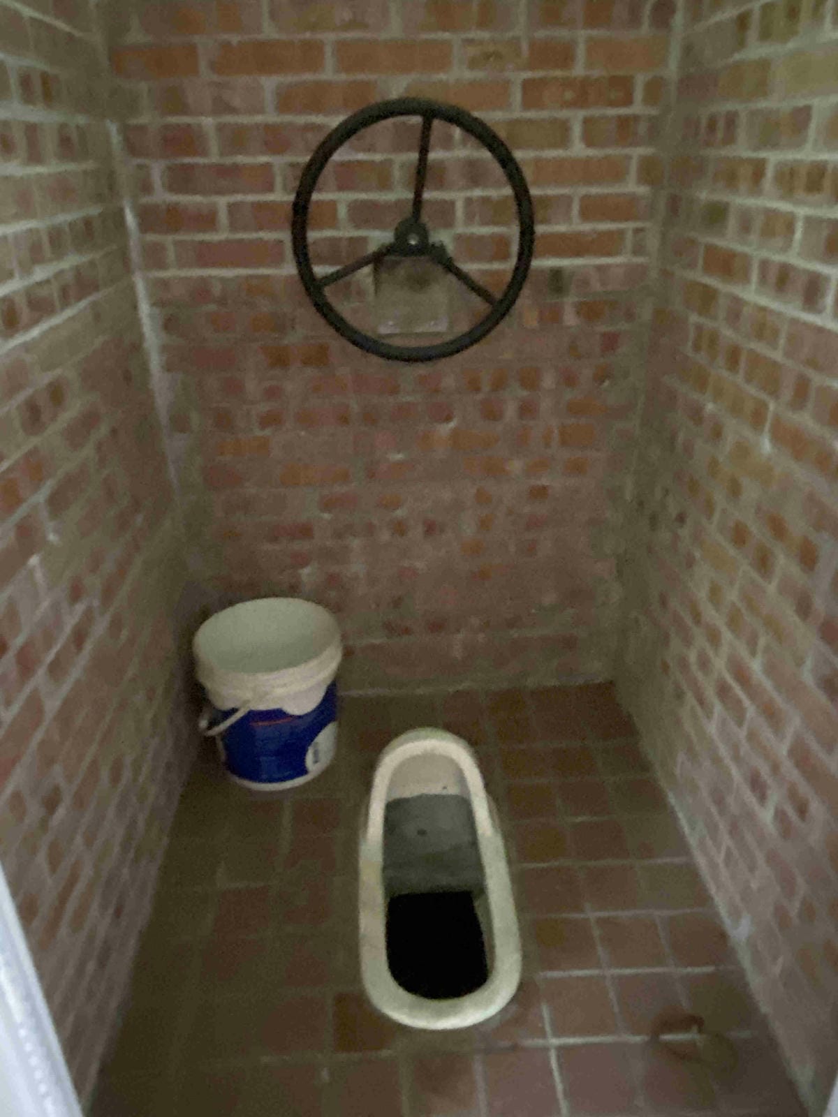 勝洋農場.結頭份社區.鐵牛力阿卡 (52).jpg 勝洋農場.結頭份社區.鐵牛力阿卡 (52).jpg