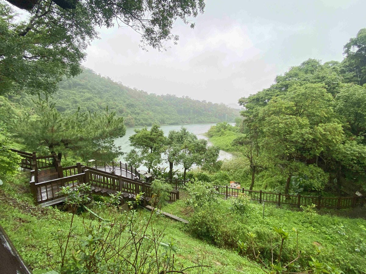 勝洋農場.結頭份社區.鐵牛力阿卡 (130).jpg 勝洋農場.結頭份社區.鐵牛力阿卡 (130).jpg