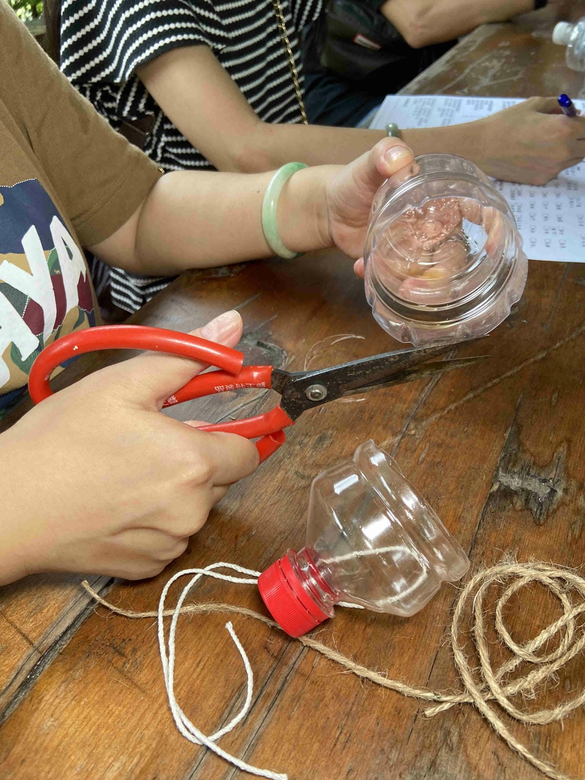 勝洋農場.結頭份社區.鐵牛力阿卡 (40).jpg 勝洋農場.結頭份社區.鐵牛力阿卡 (40).jpg