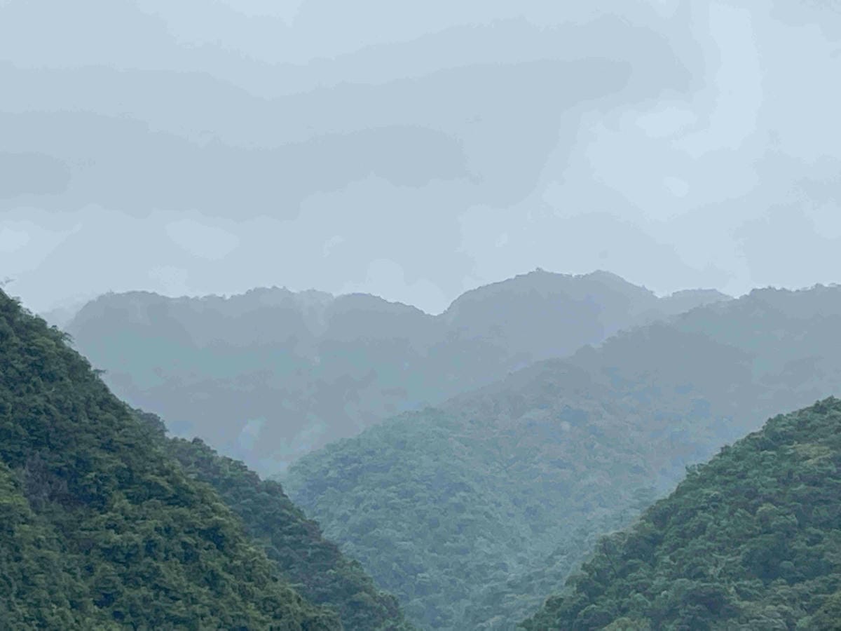 勝洋農場.結頭份社區.鐵牛力阿卡 (124).jpg 勝洋農場.結頭份社區.鐵牛力阿卡 (124).jpg