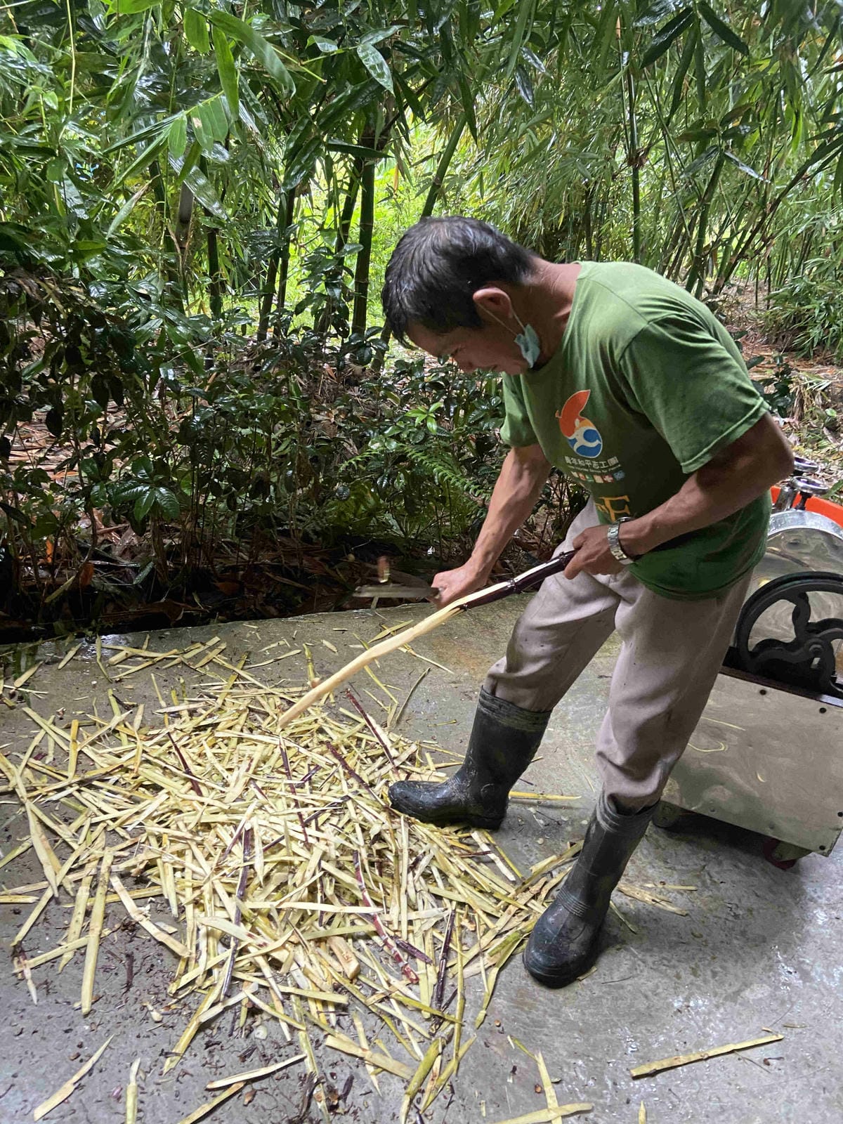 勝洋農場.結頭份社區.鐵牛力阿卡 (46).jpg 勝洋農場.結頭份社區.鐵牛力阿卡 (46).jpg