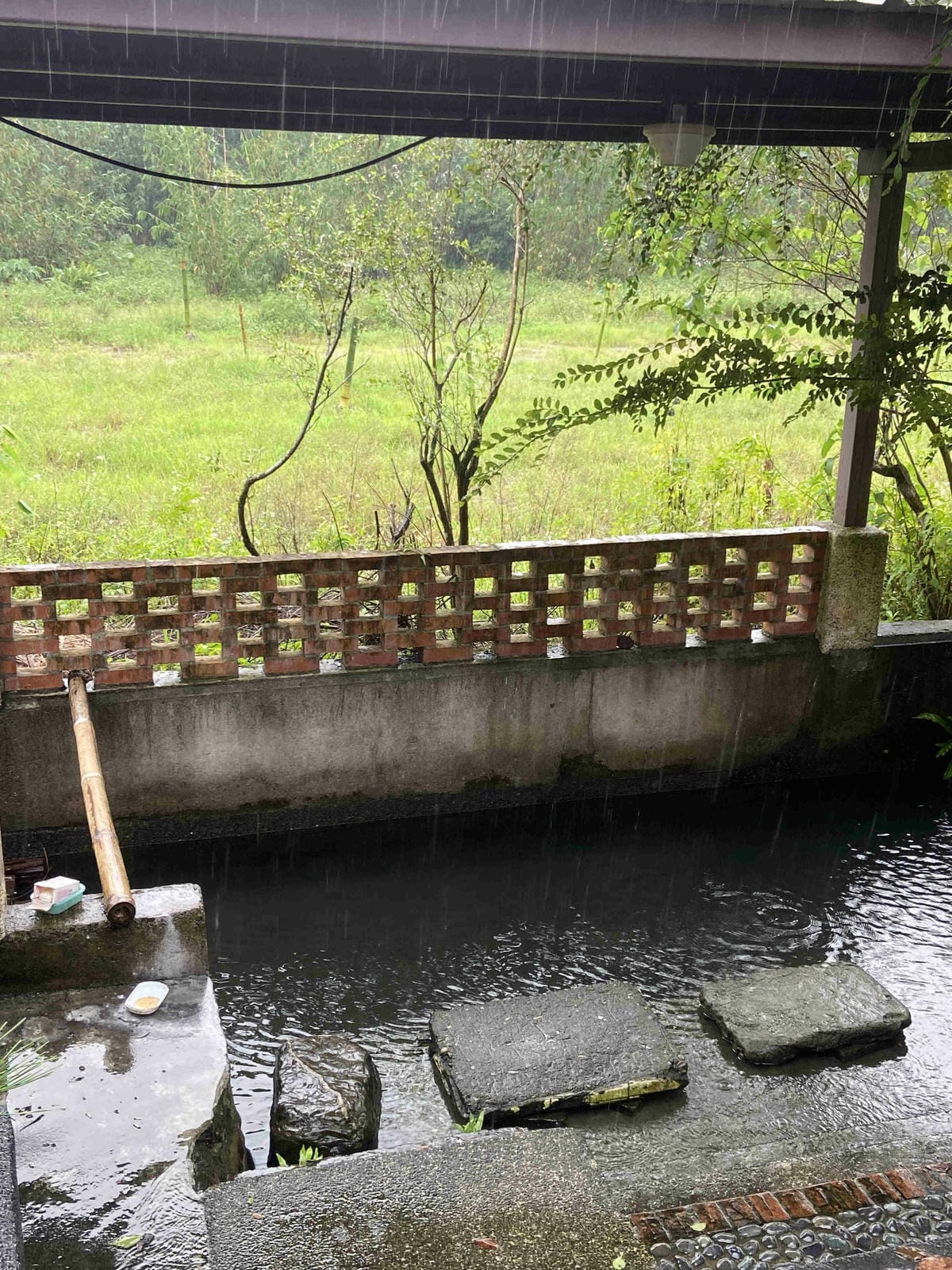 勝洋農場.結頭份社區.鐵牛力阿卡 (5).jpg 勝洋農場.結頭份社區.鐵牛力阿卡 (5).jpg