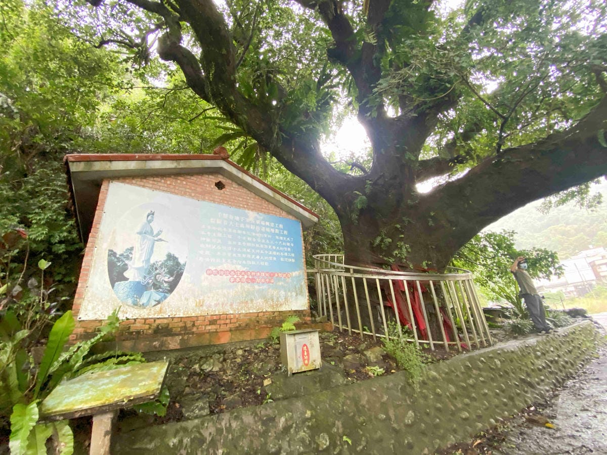 勝洋農場.結頭份社區.鐵牛力阿卡 (109).jpg 勝洋農場.結頭份社區.鐵牛力阿卡 (109).jpg