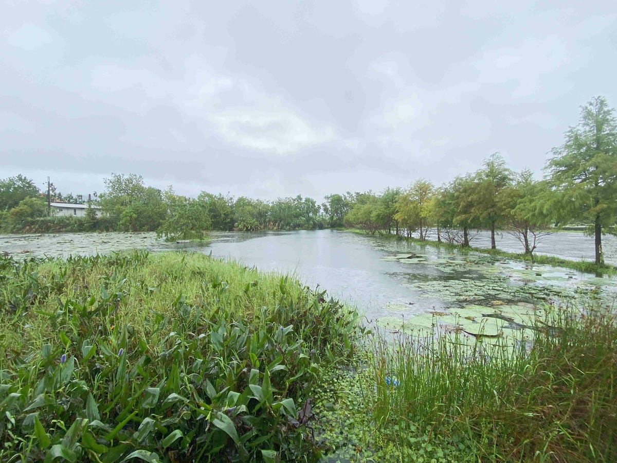 勝洋農場.結頭份社區.鐵牛力阿卡 (55).jpg 勝洋農場.結頭份社區.鐵牛力阿卡 (55).jpg