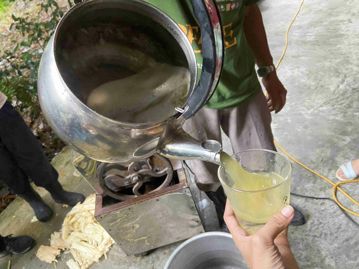 勝洋農場.結頭份社區.鐵牛力阿卡 (49).jpg 勝洋農場.結頭份社區.鐵牛力阿卡 (49).jpg