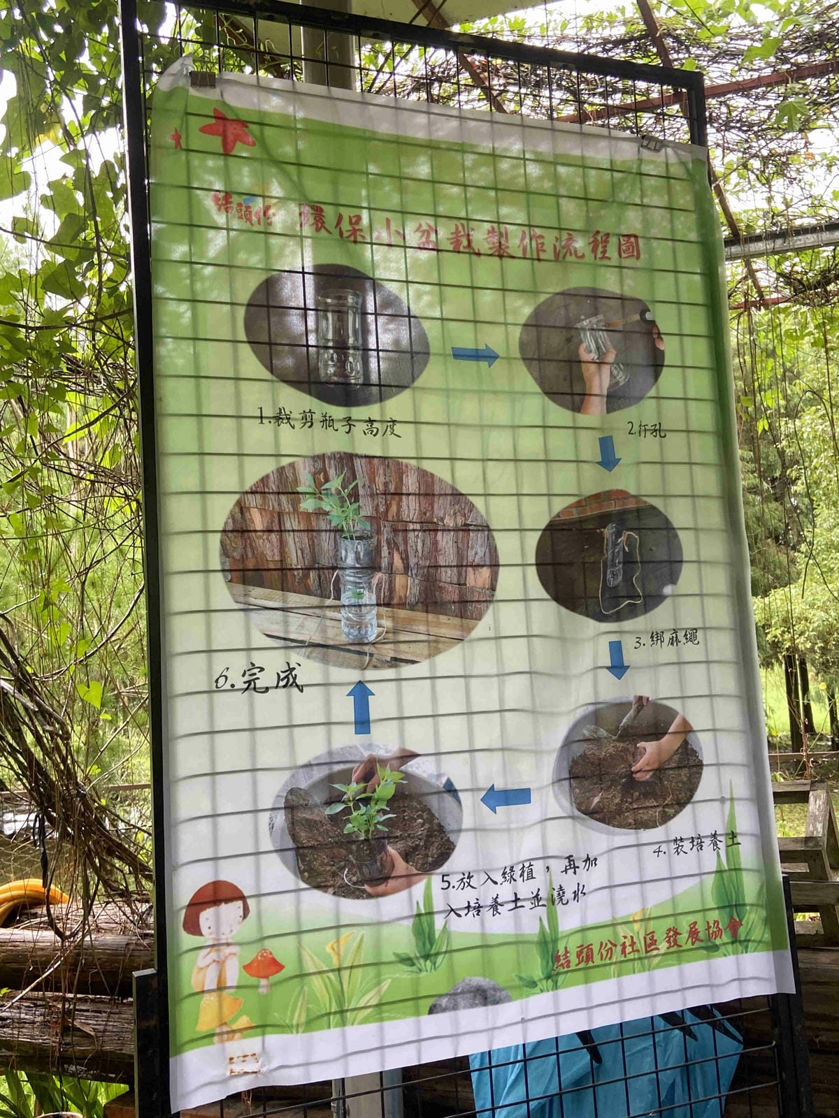 勝洋農場.結頭份社區.鐵牛力阿卡 (39).jpg 勝洋農場.結頭份社區.鐵牛力阿卡 (39).jpg