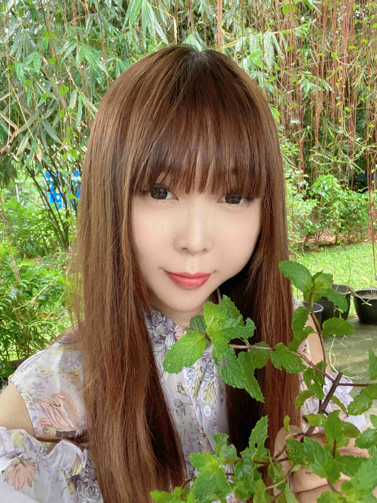 勝洋農場.結頭份社區.鐵牛力阿卡 (44).jpg 勝洋農場.結頭份社區.鐵牛力阿卡 (44).jpg