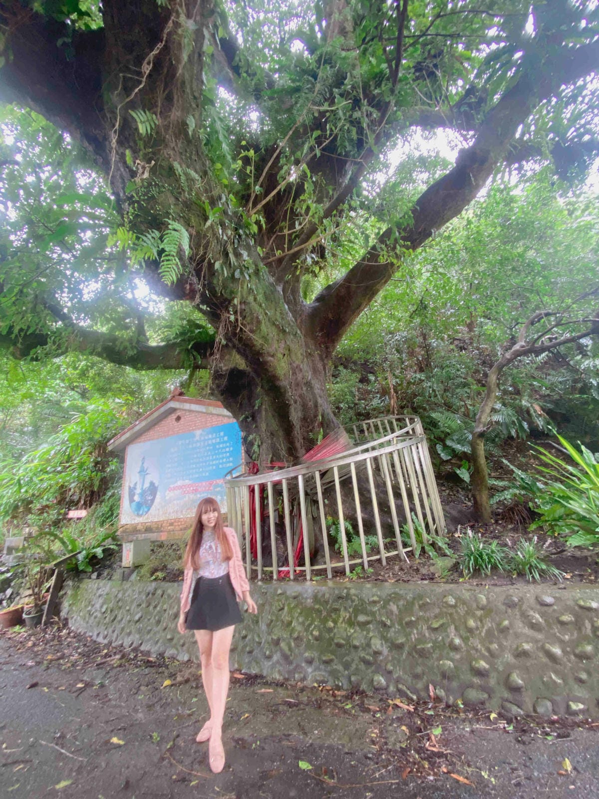 勝洋農場.結頭份社區.鐵牛力阿卡 (111).jpg 勝洋農場.結頭份社區.鐵牛力阿卡 (111).jpg