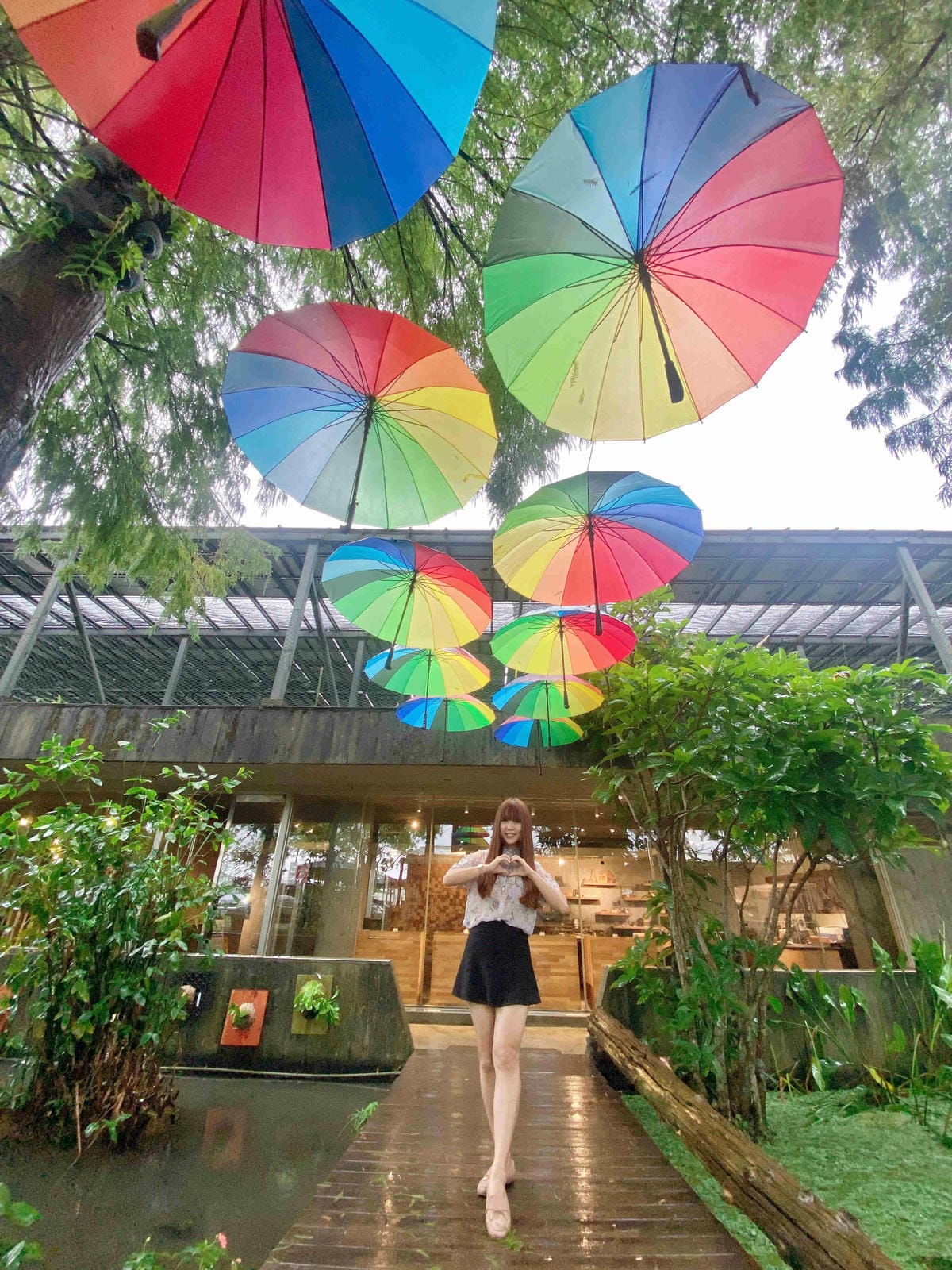 勝洋農場.結頭份社區.鐵牛力阿卡 (1).jpg 勝洋農場.結頭份社區.鐵牛力阿卡 (1).jpg