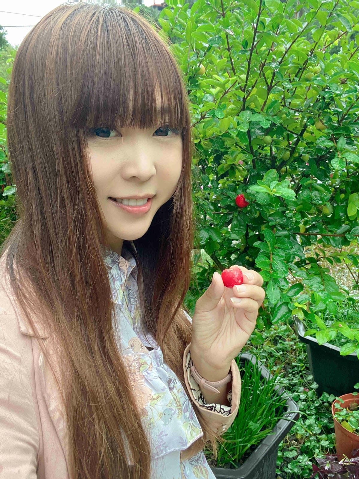 勝洋農場.結頭份社區.鐵牛力阿卡 (122).jpg 勝洋農場.結頭份社區.鐵牛力阿卡 (122).jpg