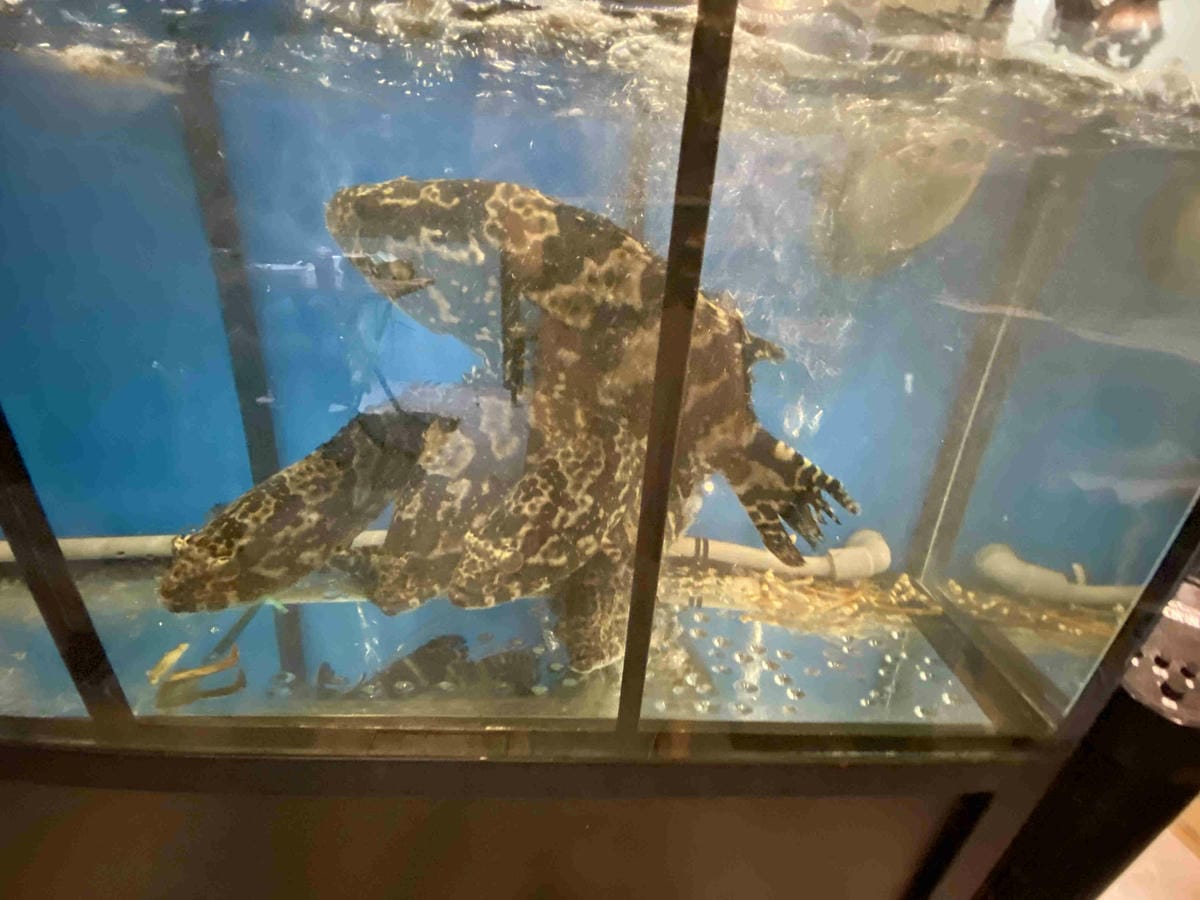 漁聞樂 (23).jpg 漁聞樂 (23).jpg