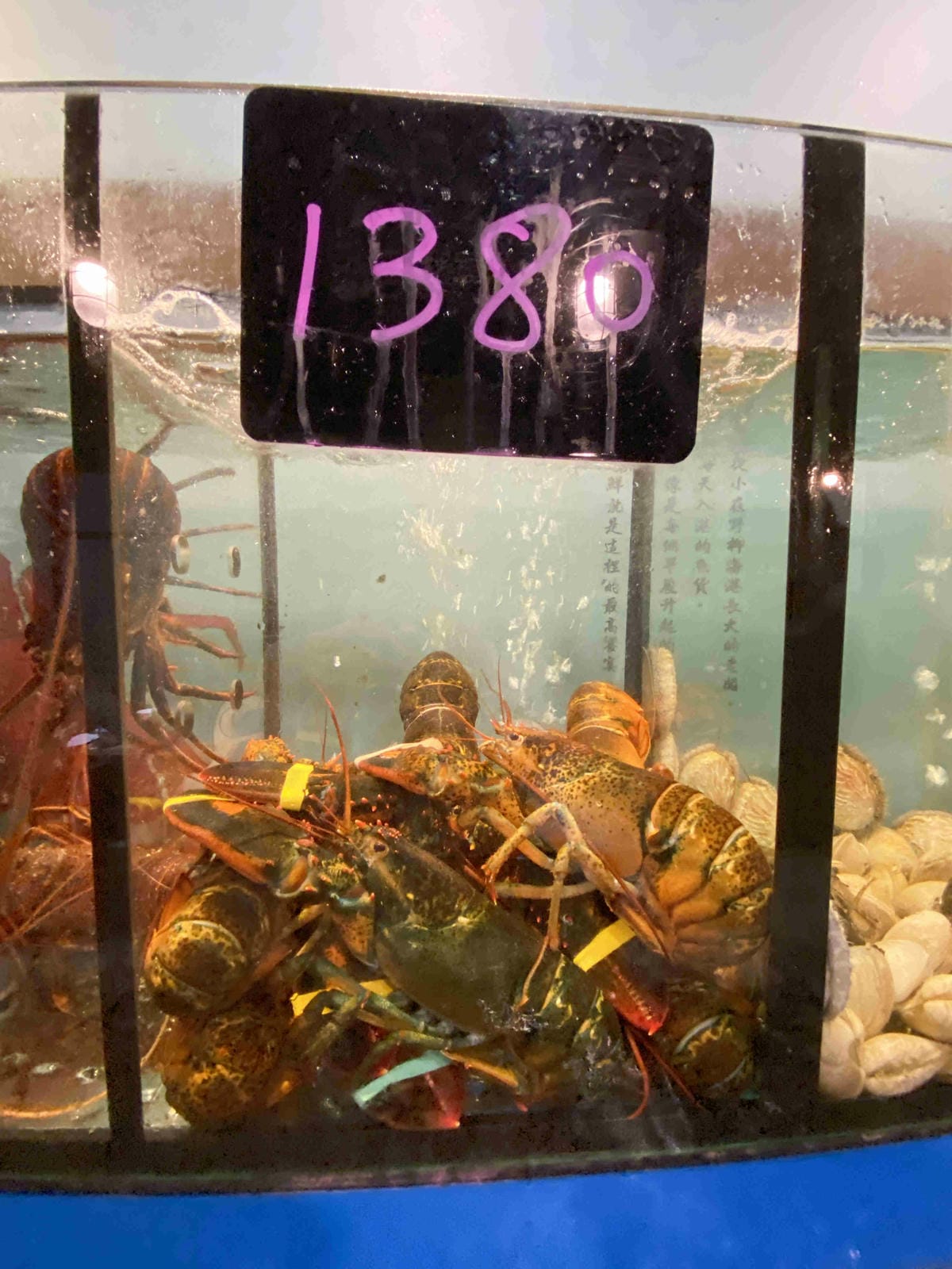 漁聞樂 (20).jpg 漁聞樂 (20).jpg