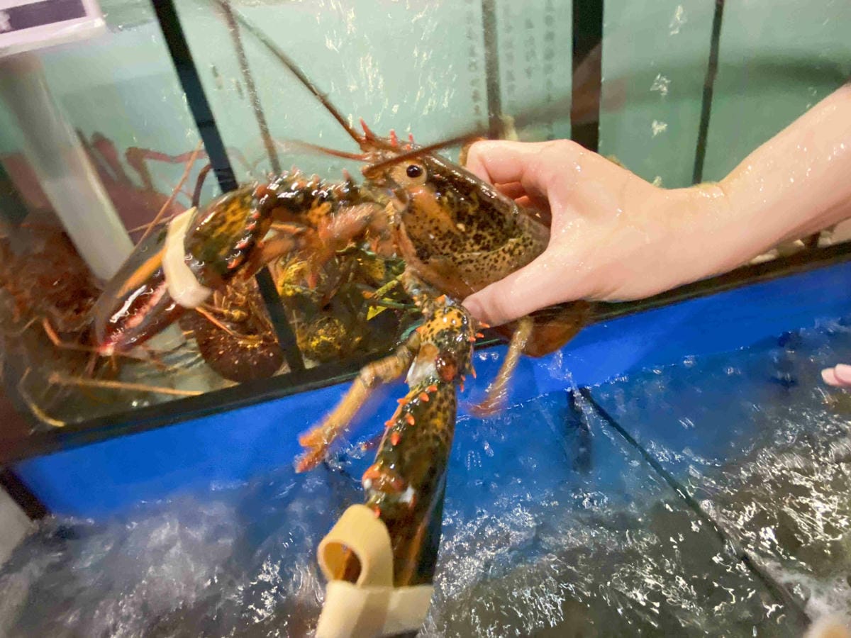 漁聞樂 (21).jpg 漁聞樂 (21).jpg