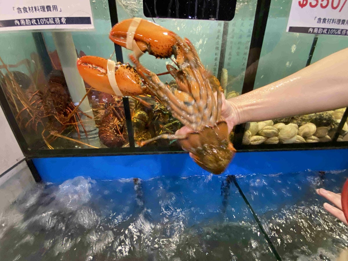 漁聞樂 (22).jpg 漁聞樂 (22).jpg