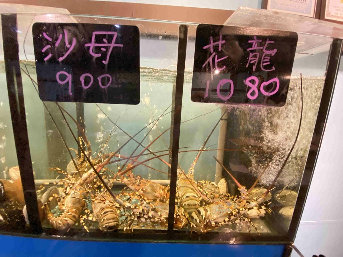 漁聞樂 (24).jpg 漁聞樂 (24).jpg